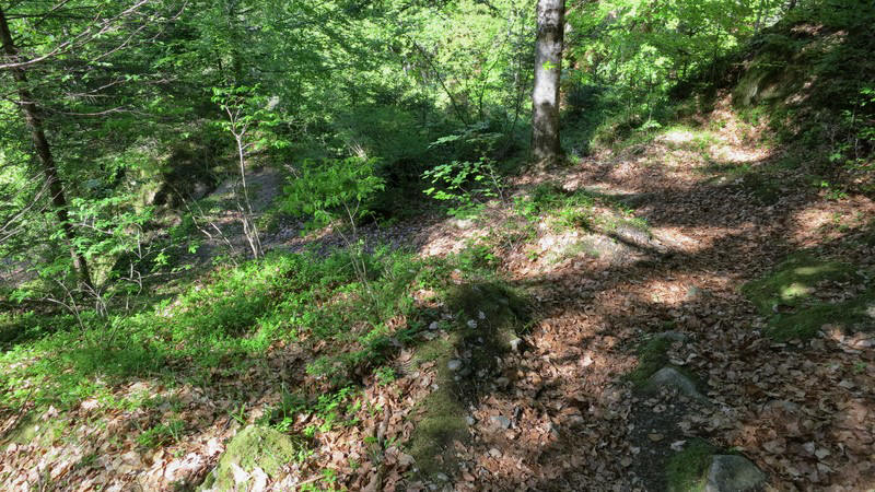 de Tête Noire et Grotte aux Nymphes, randonnée visite à Trient